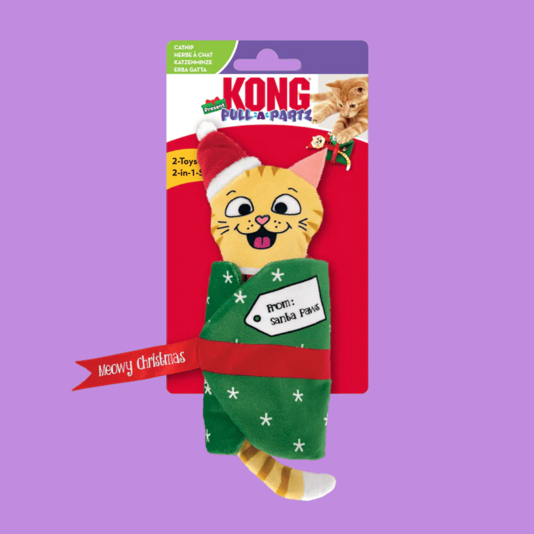 Kong Holiday Pull-A-Partz Present Cat Toy