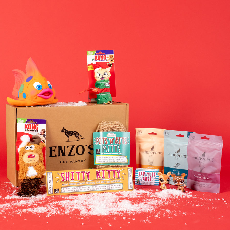 Enzo's Christmas Cat & Minion Gift Box