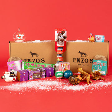 Enzo's Christmas Dog & Minion Gift Box