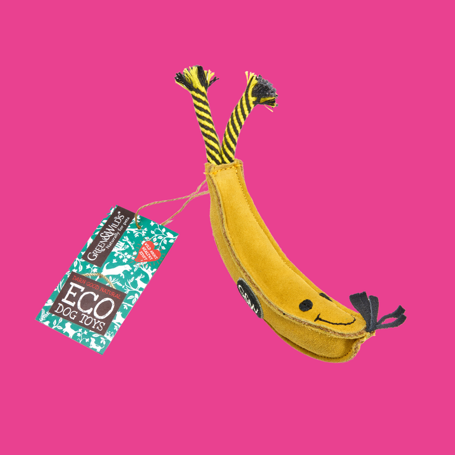 Barry the Banana, Eco Toy