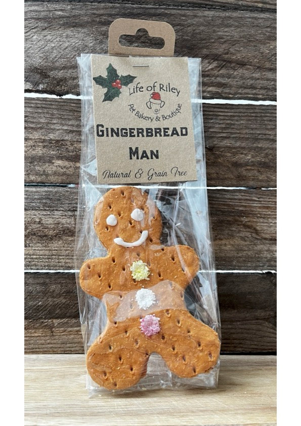 Festive Gingerbread Man