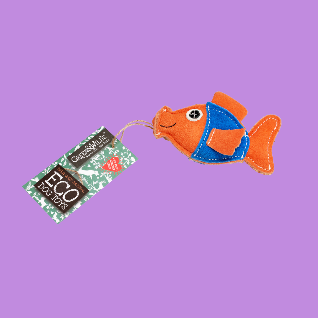 Goldie the Goldfish, Eco Toy