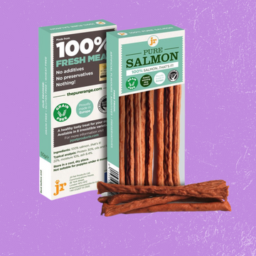 JR Pet Products Pure Salmon Sticks 50g