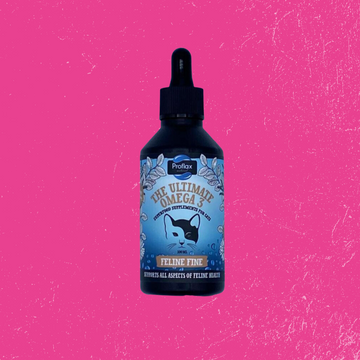 Proflax Feline Fine for Cats
