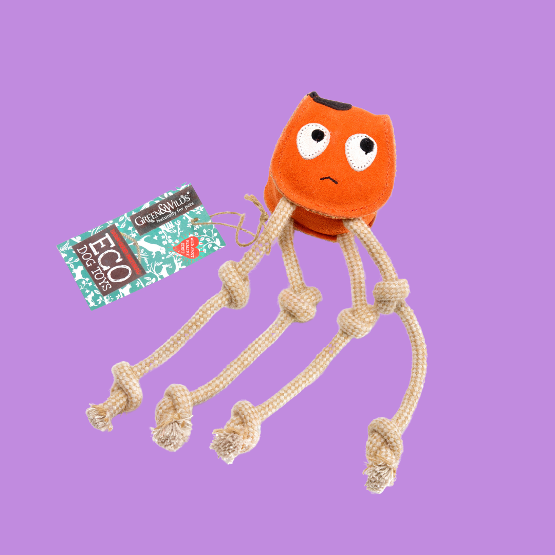 Sid the Squid, Eco Toy