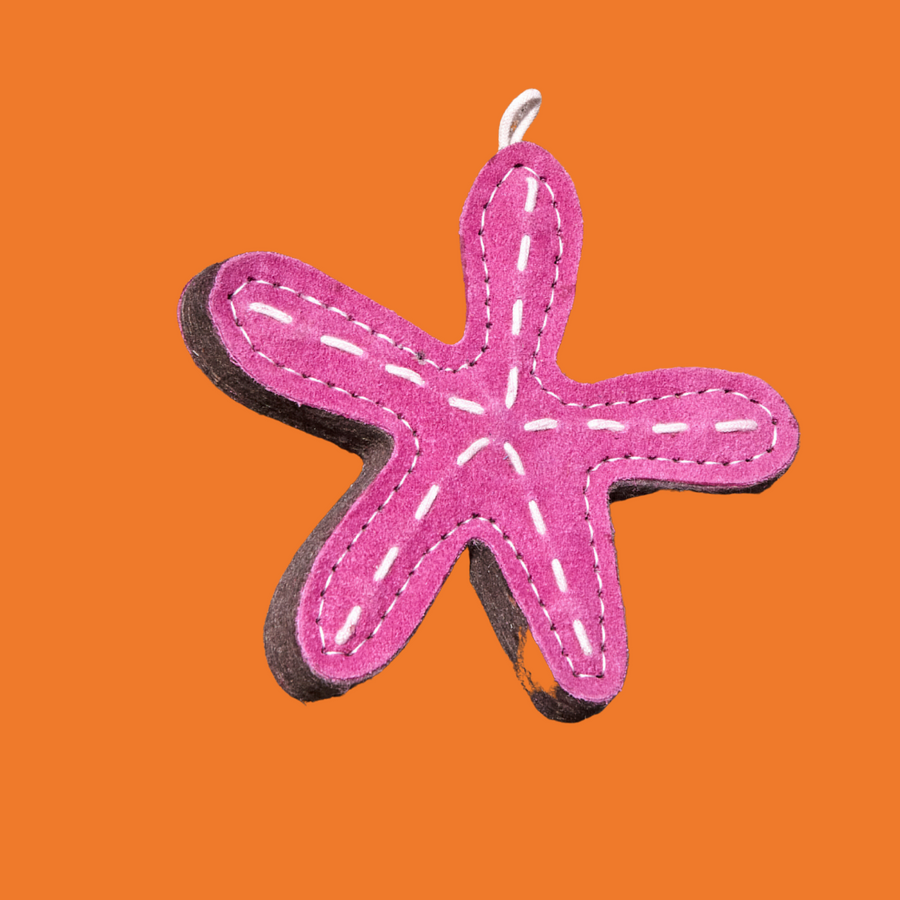 Stanley the Starfish, Eco Toy