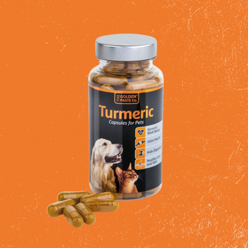 Turmeric Capsules for Pets from The Golden Paste Co.