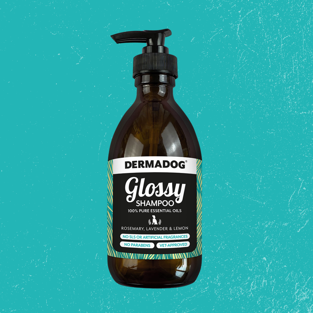 Dermadog Glossy Shampoo 300ml