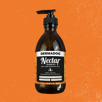 Dermadog Nectar Shampoo 300ml