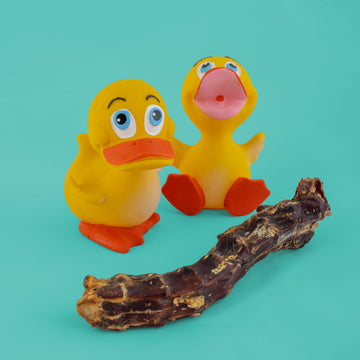 Duck Necks