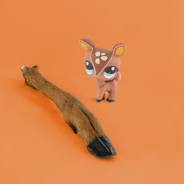 Hairy Roe Deer Leg
