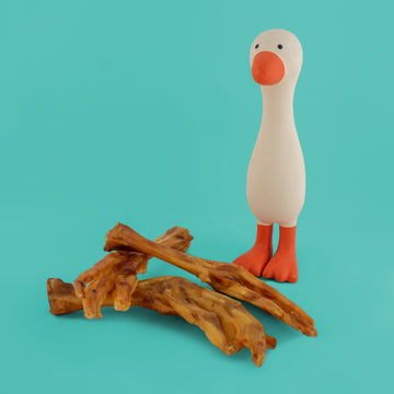 Goose Feet