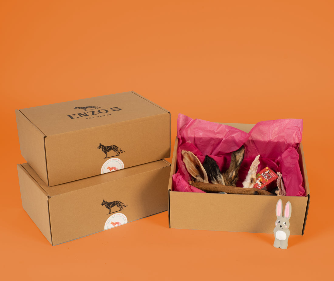 The Hair Today, Gone Tomorrow Bundle Box